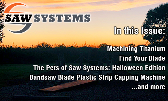 In this Saw Systems newsletter