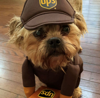Carter - UPS