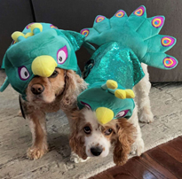 Stella and Daisy